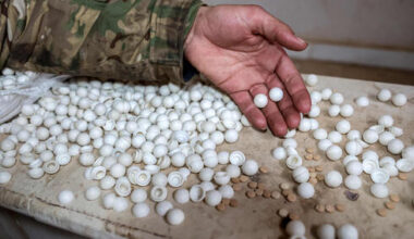 Despite raids, the Captagon threat outlives Assad and Nasrallah