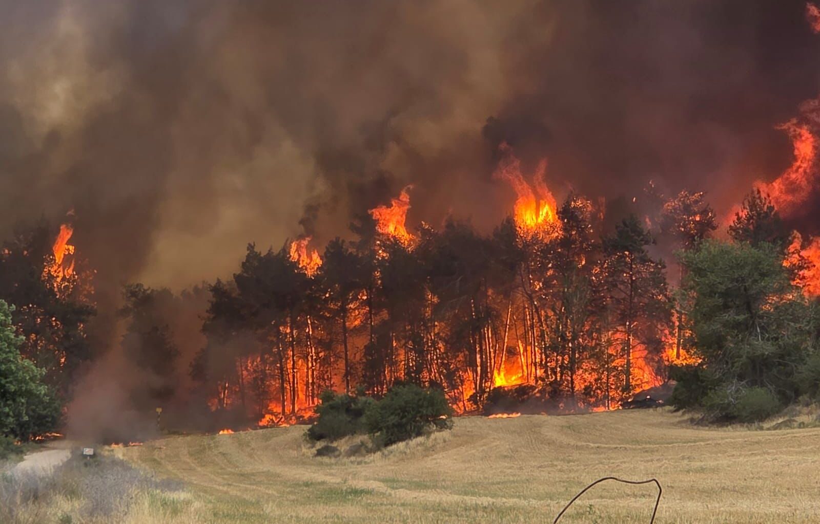 Focused on the urgency of war, Israel lags on climate action