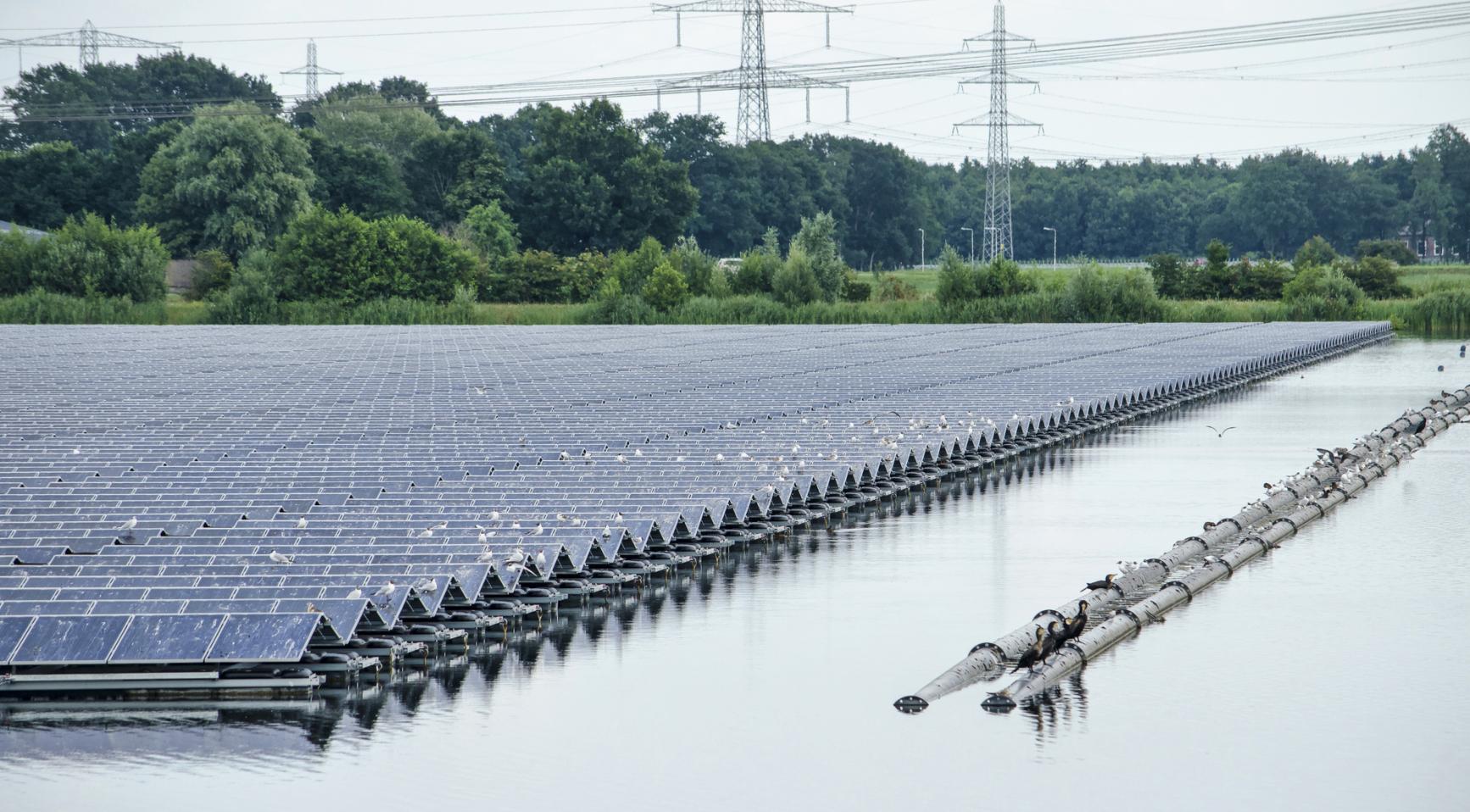 Solar panel recycling faces major hurdles in the Netherlands