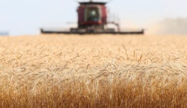 FCC to invest $2-billion in agri-food startups
