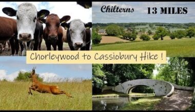 A great 13 mile countryside hike in the Chiltern Hills & the Grand Union Canal (just outside of London) :)