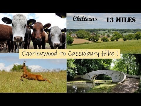 A great 13 mile countryside hike in the Chiltern Hills & the Grand Union Canal (just outside of London) :)