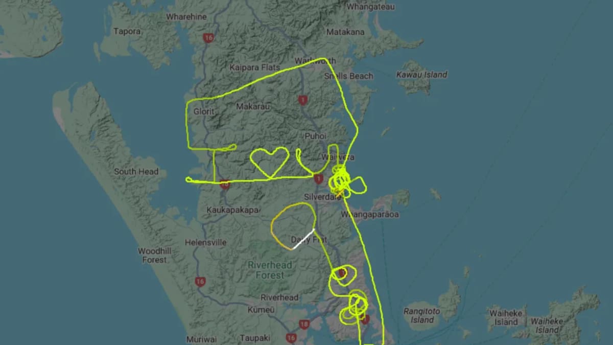 ‘I love you’: Auckland pilot’s flight path reveals sweet message