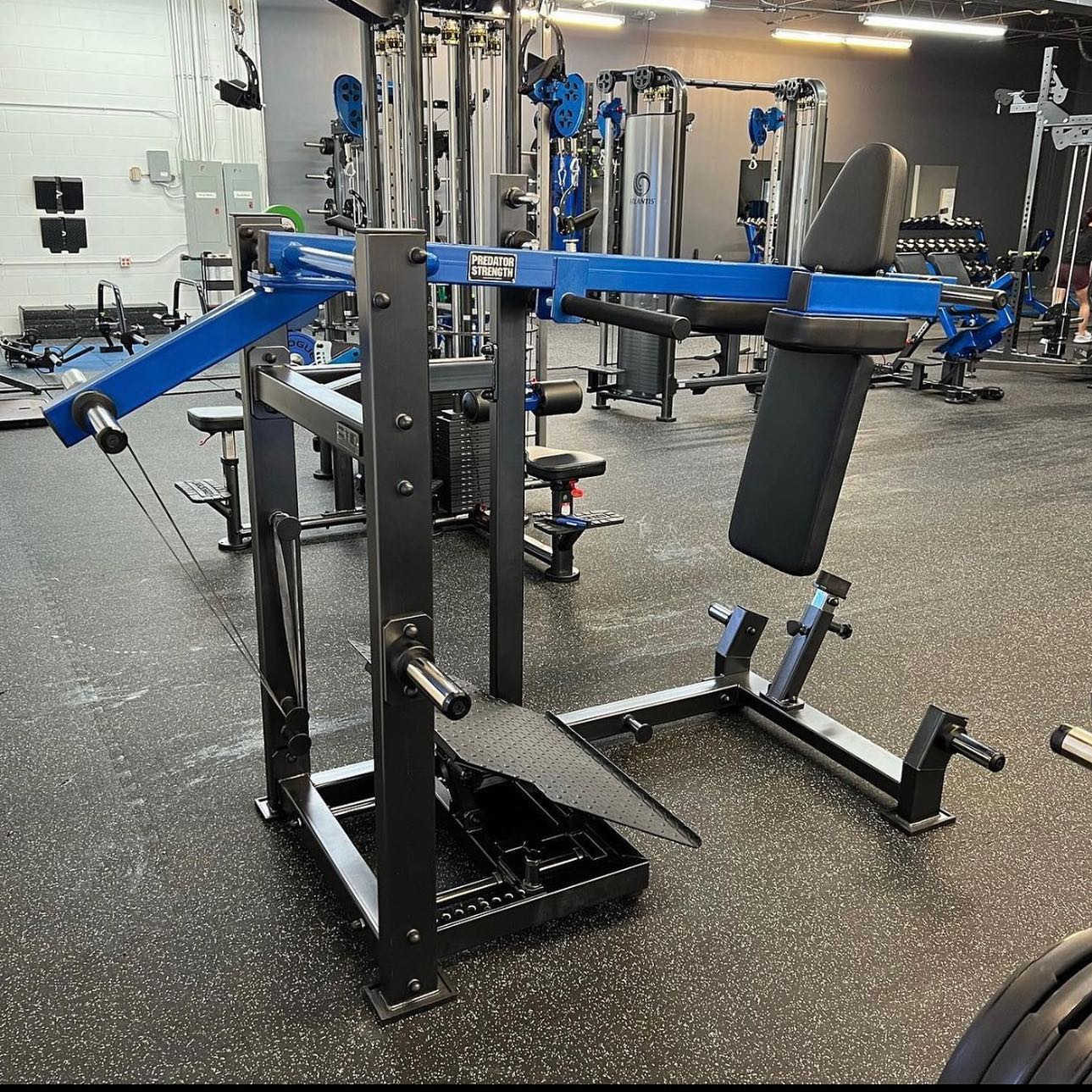 Ferrodus gym equipment 