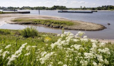 Dreigende droogte: 'Ook al is het niet voelbaar, er is veel aan de hand'