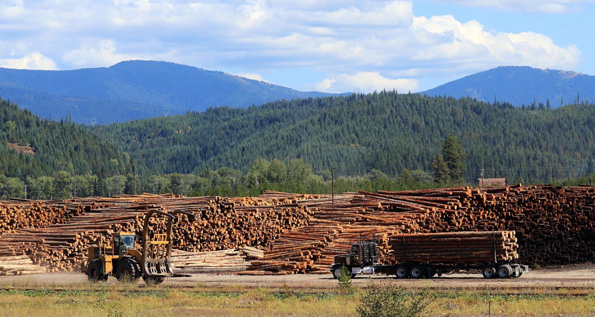 Trump’s Order to Expand Logging Threatens to Increase Climate-Fueled Wildfires
