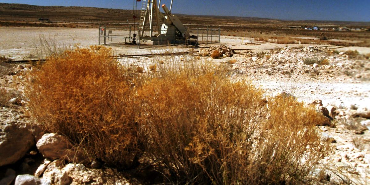Energy private equity patiently waits to pounce and lead the next wave of oil and gas M&A amid crude oil, tariff chaos