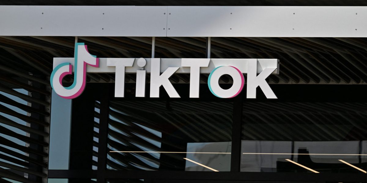 TikTok bidder calls $600 million EU fine latest example in 'avalanche of evidence' social media companies control too much user data