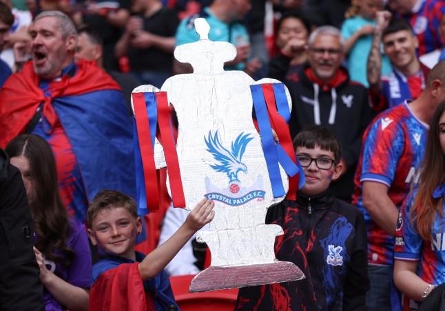 Crystal Palace v Aston Villa - Emirates FA Cup Semi Final