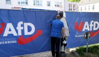 Alternative für Deutschland nu ook zwart-op-wit extreemrechts - De Standaard