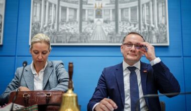 Allemagne : AfD classée comme parti d'extrême droite par l'agence nationale de renseignement