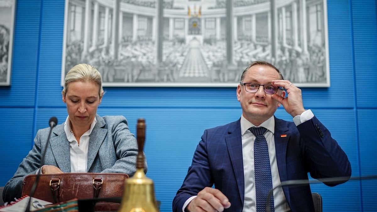 Allemagne : AfD classée comme parti d'extrême droite par l'agence nationale de renseignement