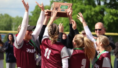 Strines pitches, hits Boardman to 1st district title since 2011 | News, Sports, Jobs