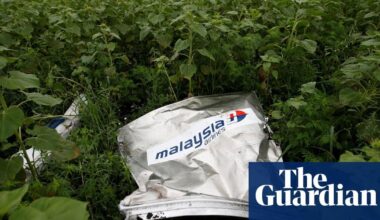 De raad van de Internationale Burgerluchtvaartorganisatie (ICAO): Rusland is verantwoordelijk voor het neerschieten van MH17
