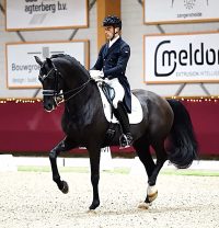 Belgium Wins CDIO4* Nations Cup at Home for First Victory in 13 Years of Trans-Atlantic Series, Germany Takes Silver, Netherlands Bronze
