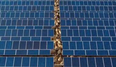 Revealed: China has secretly installed kill switches in solar panels sold to the West