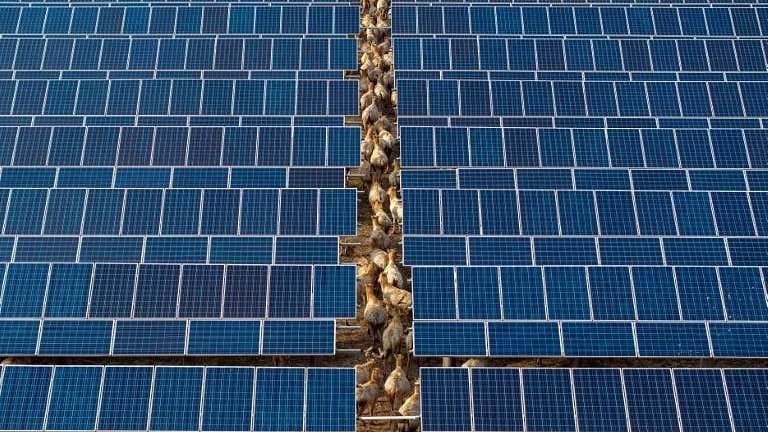 Revealed: China has secretly installed kill switches in solar panels sold to the West