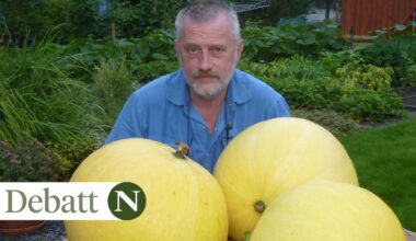 Personlig økonomi, Matpriser | Trenger vi enda billigere mat i Norge?