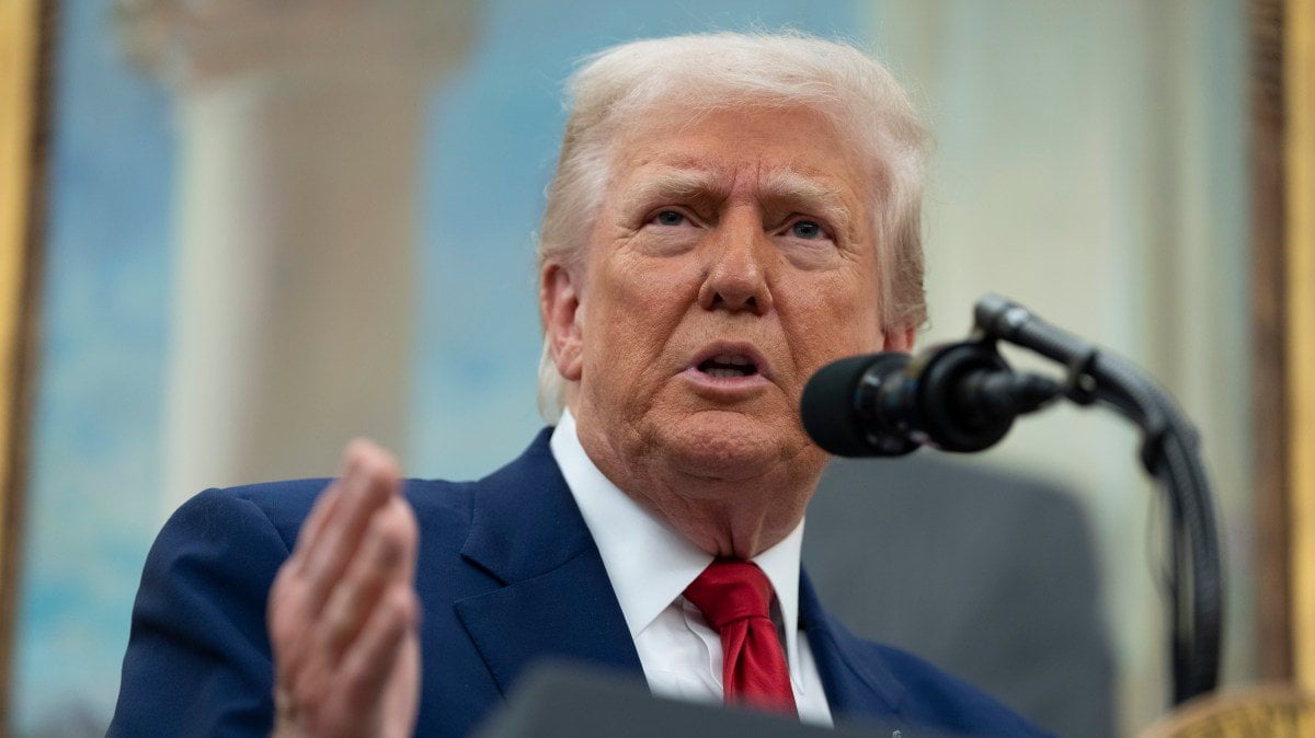 Trump gives Putin a fortnight to prove commitment to peace deal