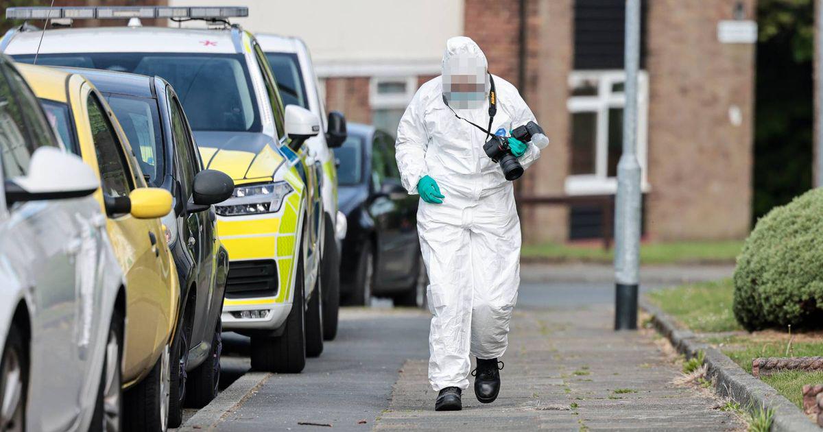 Dawn raids see 9 arrested in neo-nazi probe after birthday party held for Hitler