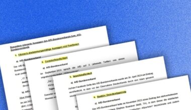 Bundesamt für Verfassungsschutz: Hier sind die ersten Belege zur Verfassungsfeindlichkeit der AfD
