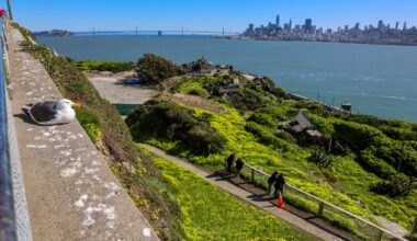 Trump's Alcatraz plan would have to clear environmental hurdles