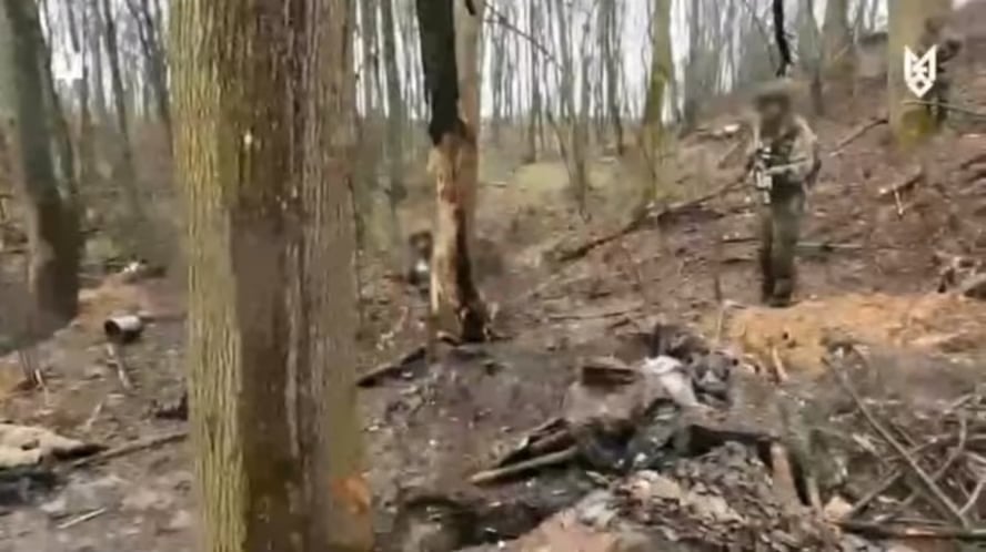 Ukrainian SOF raiding a Russian position near the village of Mogritsa in Sumy region.