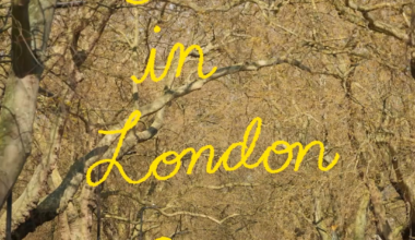 Feels like summer. A four week time study in London Fields, shot at the beginning and end of April.