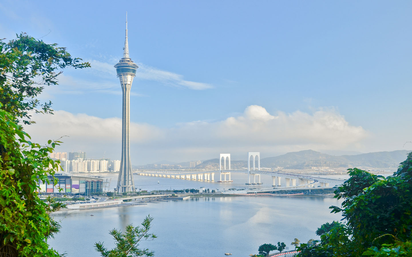 Macao government to host activities ahead of World Environment Day 