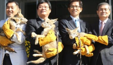 Who is Kim Moon Soo, South Korea’s staunch…