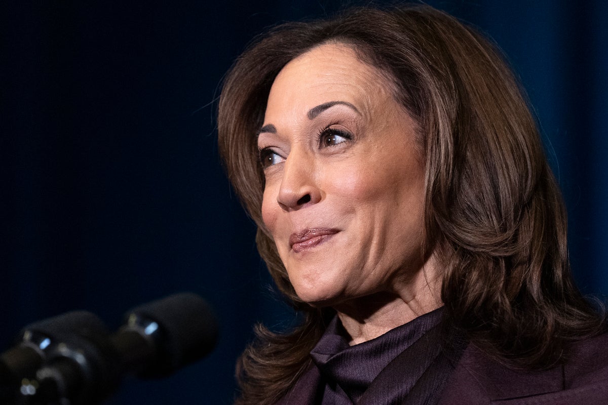 Kamala Harris calls Trump tariffs ‘greatest man-made economic crisis in modern presidential history’