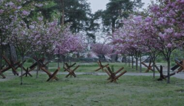 Ukrainian Filmmakers Set Sights on Post-War Rebuild