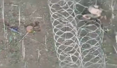 Russian Soldier gets stuck In barbwire who tried to infiltrate Egoza Barrier in Pokrovsk gets blown up by FPV