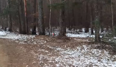 Russian conscripts serving in the border area dragged anti-tank mines along the ground until they exploded, killing two and wounding two more