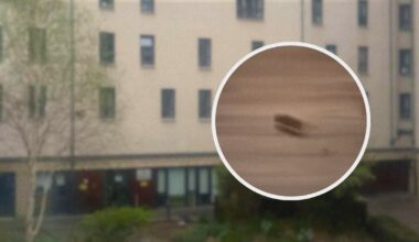Students at Edinburgh Uni halls told mouse in kitchen is ‘not legally a landlord’s problem’