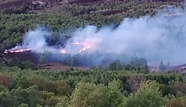 Disposable barbecue starts wildfire in the Trossachs