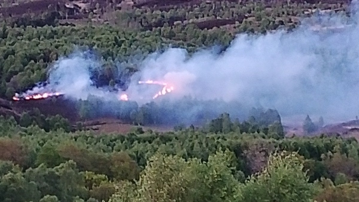 Disposable barbecue starts wildfire in the Trossachs