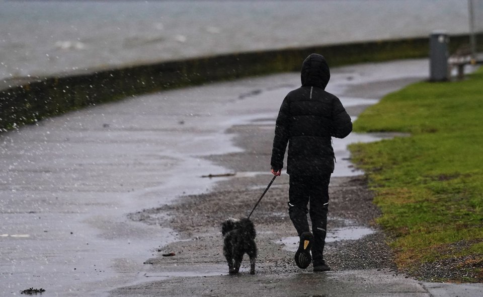 Person walking a dog in the rain.
