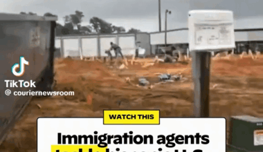 This video circulating online shows immigration agents tackling an American citizen to the ground, only to release him after confirming his citizenship. Congratulations, ‘Latinos for Trump’—you’ve truly outdone yourselves as the most shamelessly ignorant sellouts on the planet.