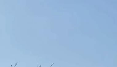 The UTAC team, in cooperation with the Air Force, used F-16s to hit ground targets in the Kursk region with American GBU guided bombs.