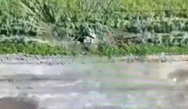 FPV Strike on Russian Soldier