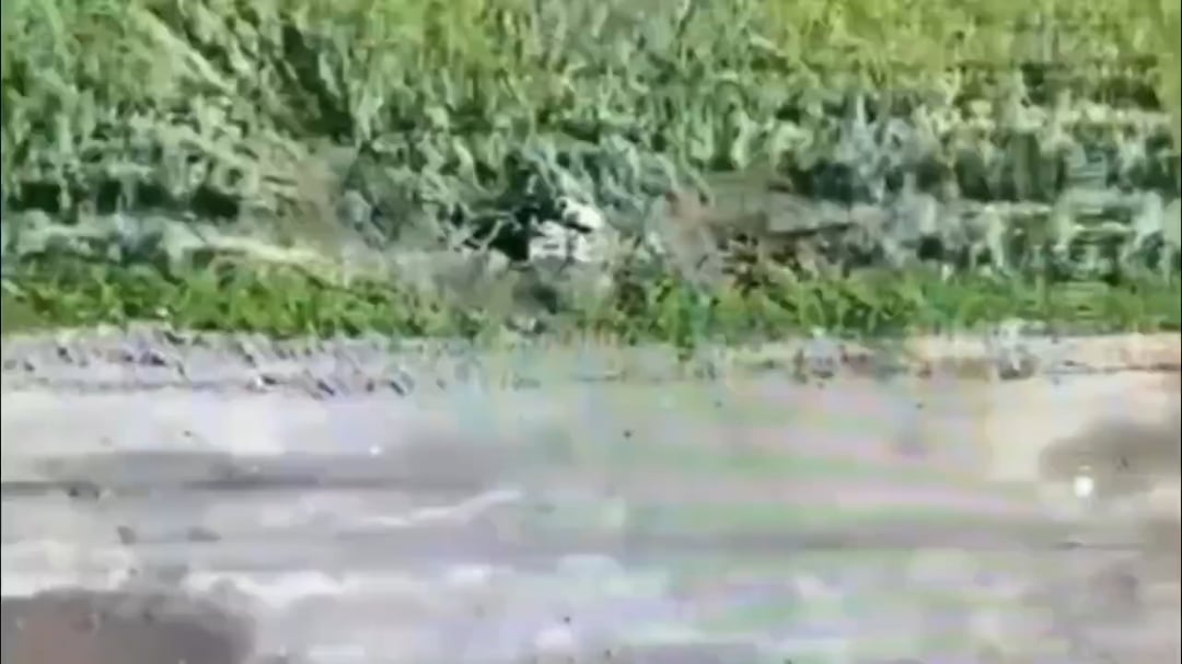 FPV Strike on Russian Soldier