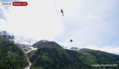They rescue sheep from Blatten
