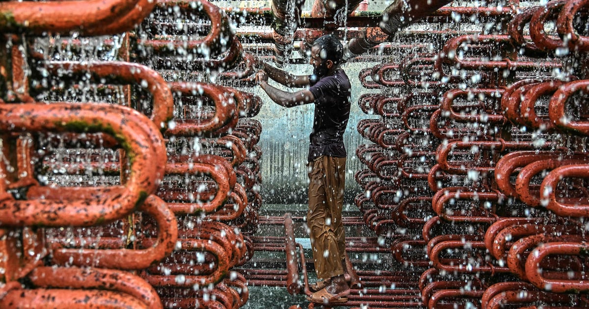 Pictures of the week: From an ice factory in Karachi to the Rose Valley in Bulgaria