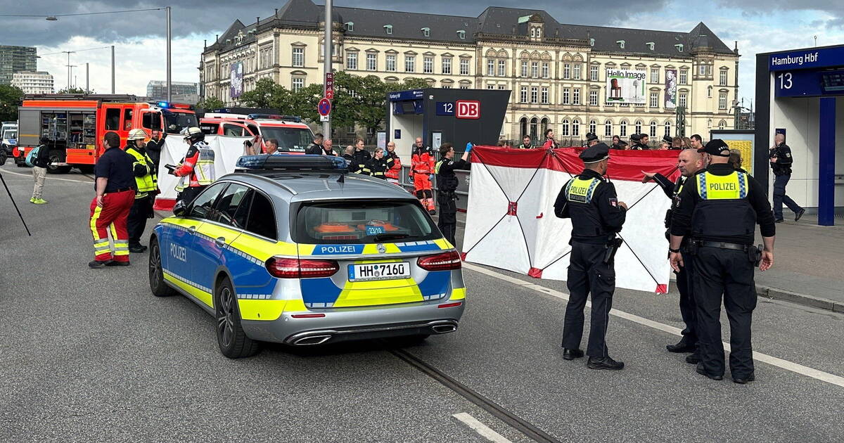 une attaque au couteau fait 12 blessés à la gare de Hambourg, une femme arrêtée – Libération