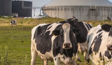 Biogases’ benefits for energy security, local economies and reducing emissions are drawing renewed interest - News