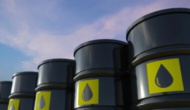 Crude oil imports: Urals helps Russia claw back India market share in April