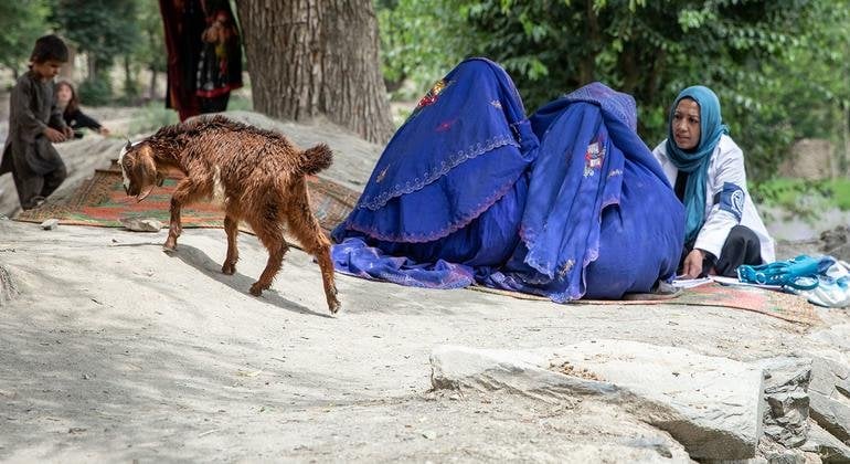 Afghanistan: Taliban restrictions on women’s rights intensify