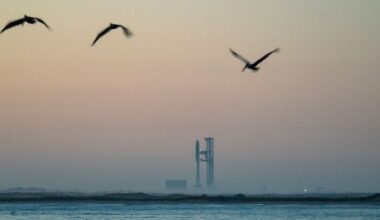 Conservationists raise alarm over Air Force plan to land SpaceX Starships on bird sanctuary atoll