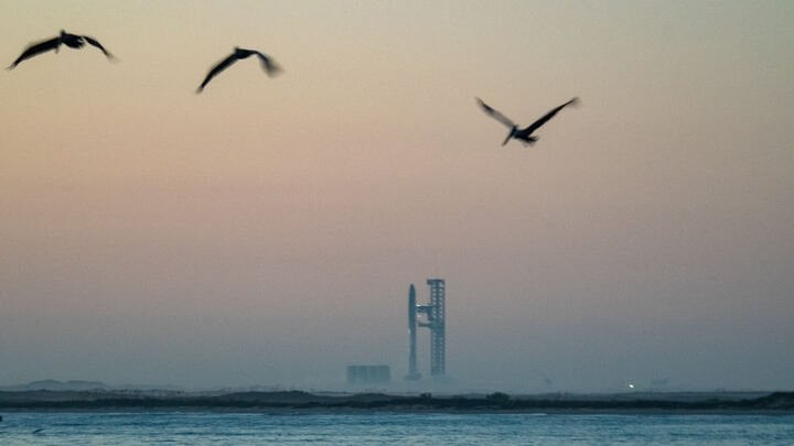 Conservationists raise alarm over Air Force plan to land SpaceX Starships on bird sanctuary atoll
